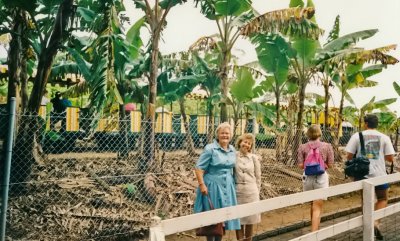 My Mum Ciss & Jasmine at the big Pinapple, June 1990