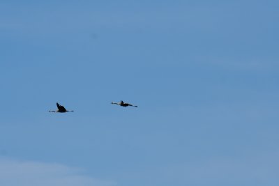 g1/64/728564/3/116334565.zYv69Dy0.jpg