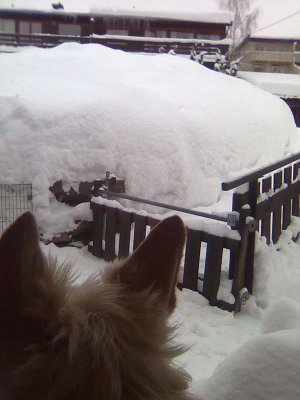Alex contemplating the snow!
