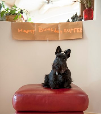 Duffee's 1st Birthday - Marilyn Fugate's wee lad.