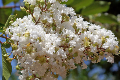 dscSC01138.jpg
