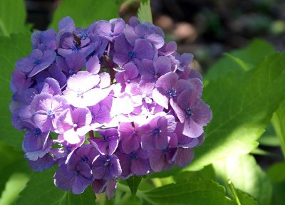 dscSC01158.jpg