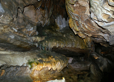 dscSC01190.jpg