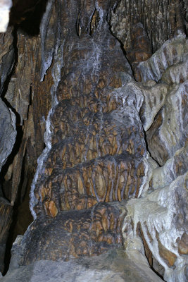 dscSC01194.jpg