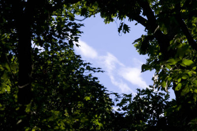 Blue Sky through the Hole