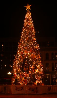 The Christmas Tree at the Alamo