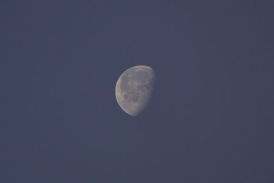Moon 06/13/2009