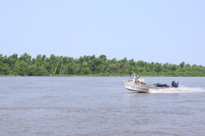Atchafalaya - Making a wake