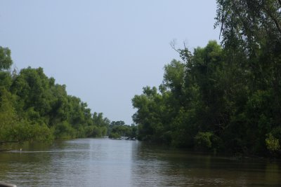 Atchafalaya