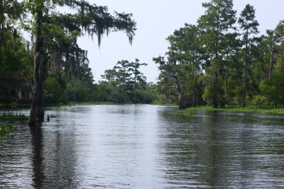 Atchafalaya