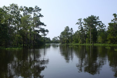 Atchafalaya