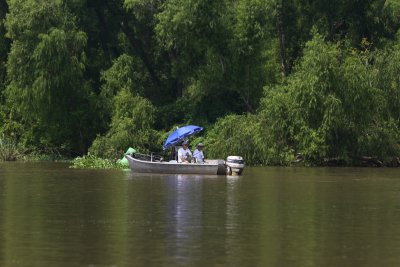 Atchafalaya - fishing in the shade redux
