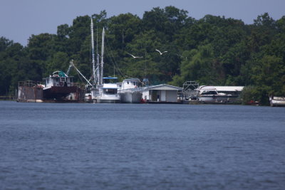 Atchafalaya