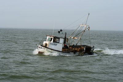 Oyster Boat