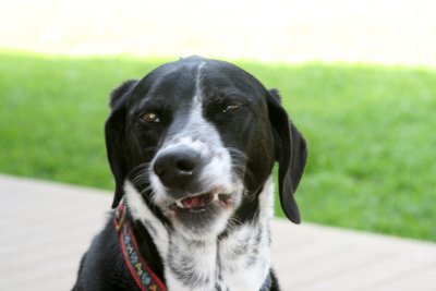 Making faces for the camera!