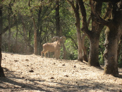 IMG_6053.JPG