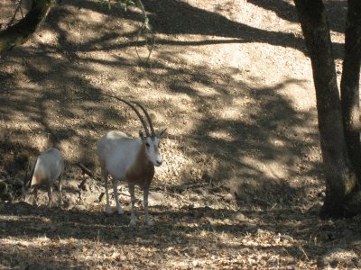 IMG_6072.JPG