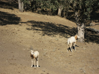IMG_6073.JPG