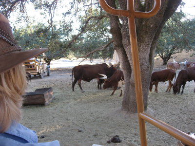 IMG_6124.JPG