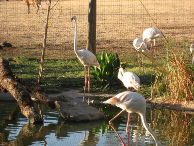 IMG_6184.JPG