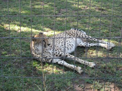 IMG_6199.JPG