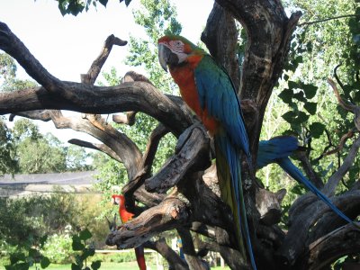 IMG_6218.JPG