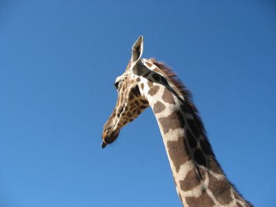 IMG_6227.JPG