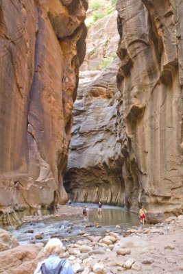 20090719_ZionNP_2734.jpg