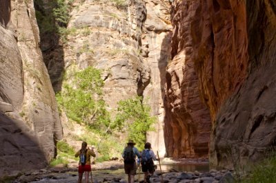 20090719_ZionNP_2742.jpg