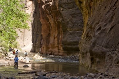 20090719_ZionNP_2749.jpg