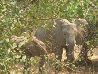 Mother and youngster