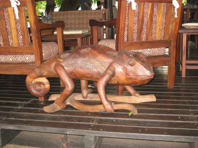 Bilimungwe Camp Mascot  (bilimungwe means Chameleon)