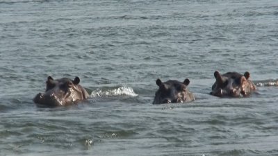 Chiawa Camp, on the Lower Zambezi River, Zambia