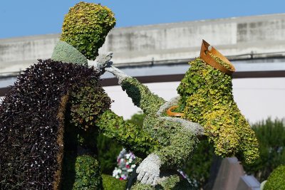 Aurora topiary