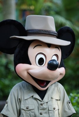 ak_mickey