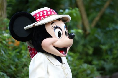 ak_minnie