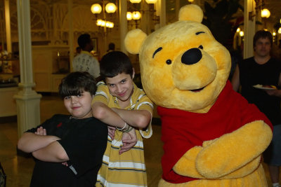 Pooh with buddies