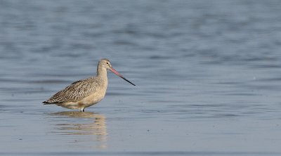 IMG_0228.jpg