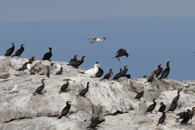 IMG_0072.jpg