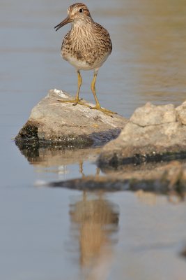 IMG_0015.jpg