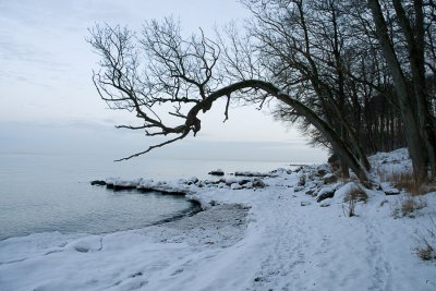 Winter by the sea / Vinter ved kysten