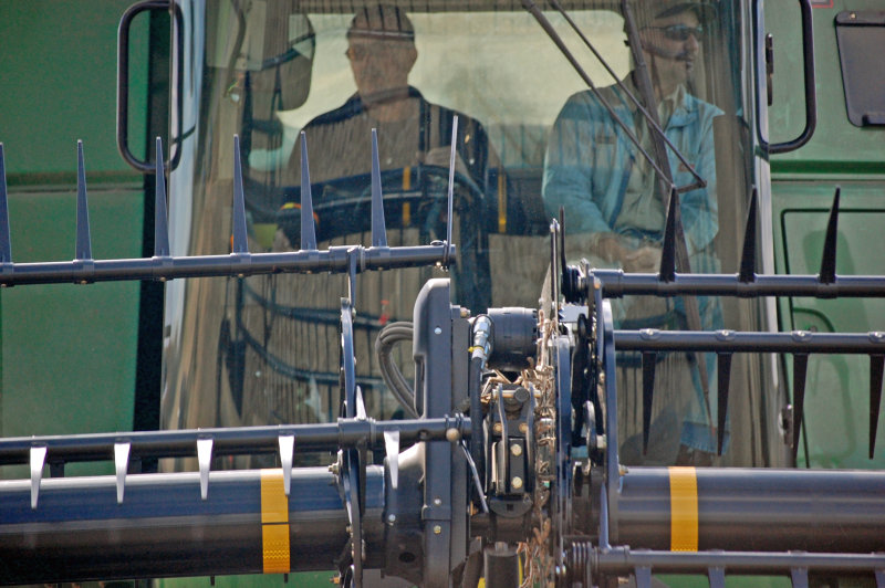 10-18-2008-soybeans-107_edited.JPG