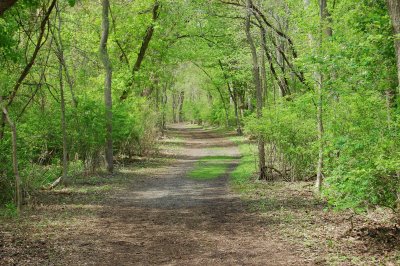 Shank Lake Trail