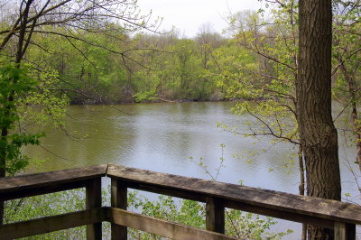 Shank Lake Overlook