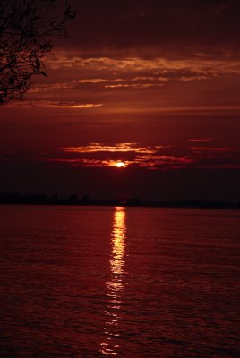 DSC_2670.jpg