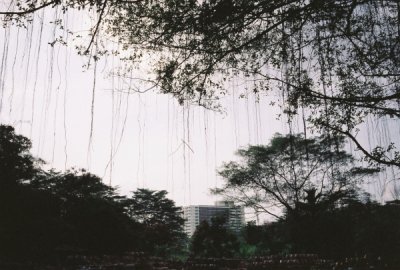 eRoll1_C006099-R1-19-19A.jpg