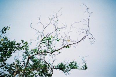 reF1000022.jpg