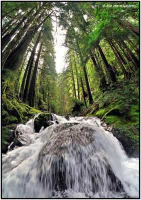 Kentucky falls, above the upper falls.jpg