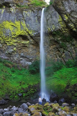 Elowah Falls