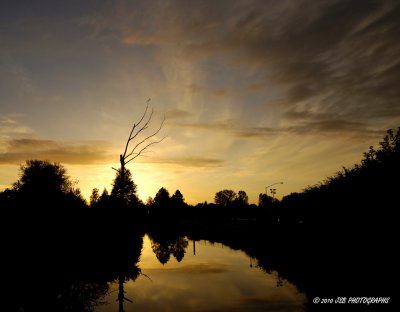 Sunset at Autzen